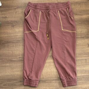 Fabletics Joggers Size 4X. Mauve